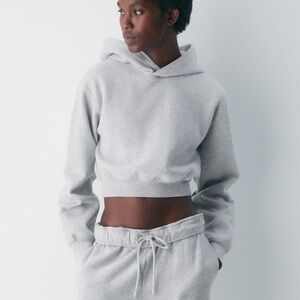 Aritzia perfect crop hoodie